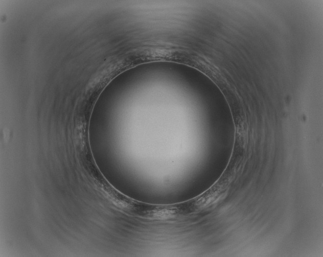 X0000073760462200608171401