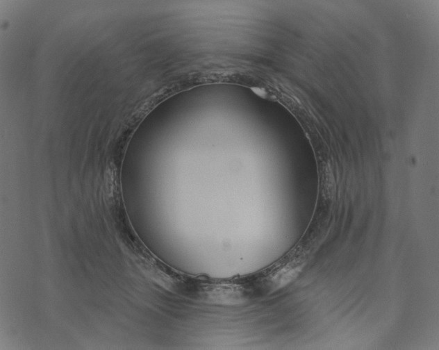 X0000073760463200608171401