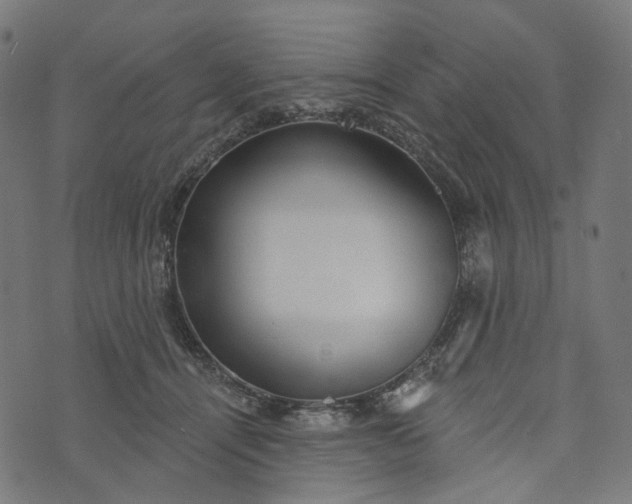 X0000073760464200608171401