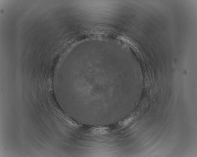 X0000073760465200608171401