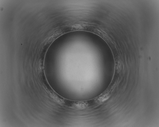 X0000073760466200608171401