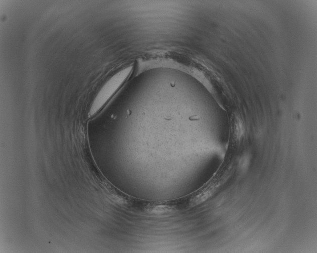 X0000073760467200608171401