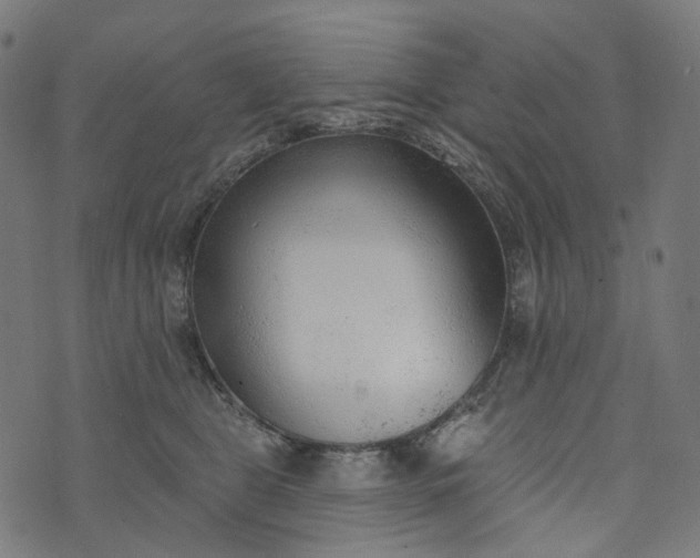 X0000073760469200608171401