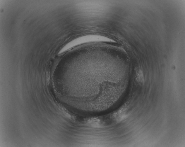 X0000073760471200608171401