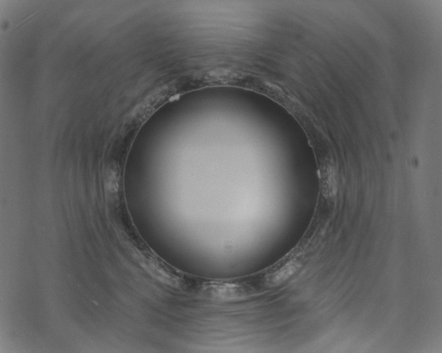 X0000073760472200608171401