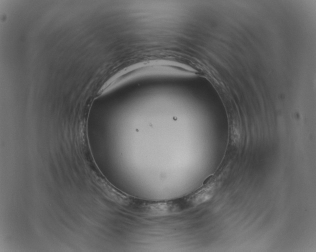 X0000073760473200608171401