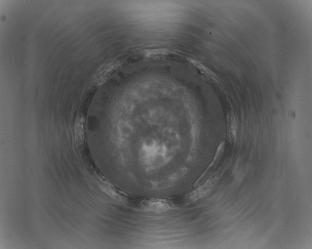 X0000073760475200608171401