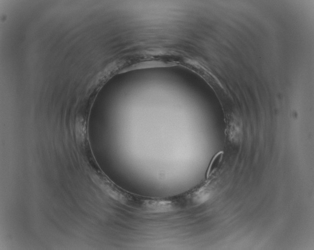 X0000073760476200608171401