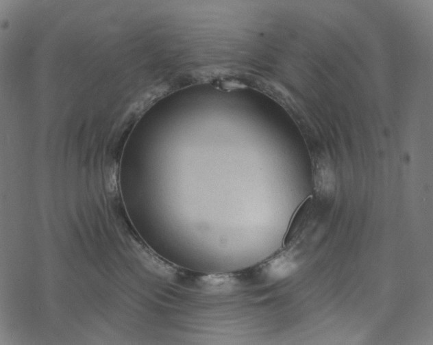 X0000073760477200608171401