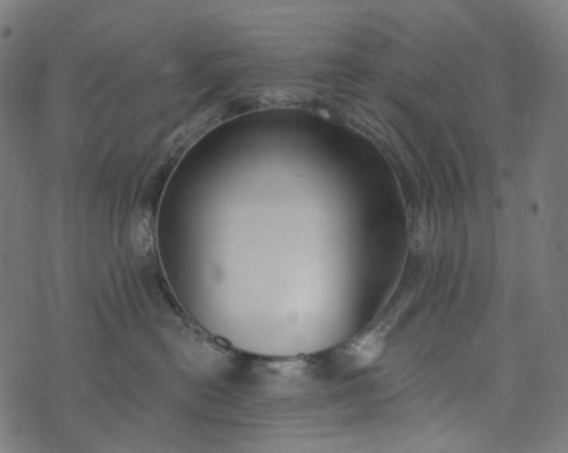 X0000073760478200608171401