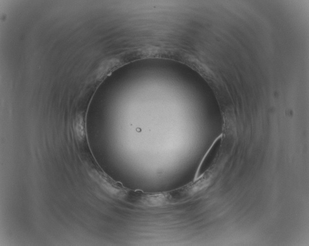 X0000073760479200608171401