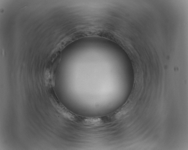 X0000073760480200608171401