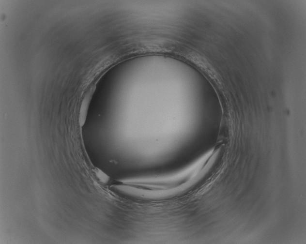 X0000073760481200608171400