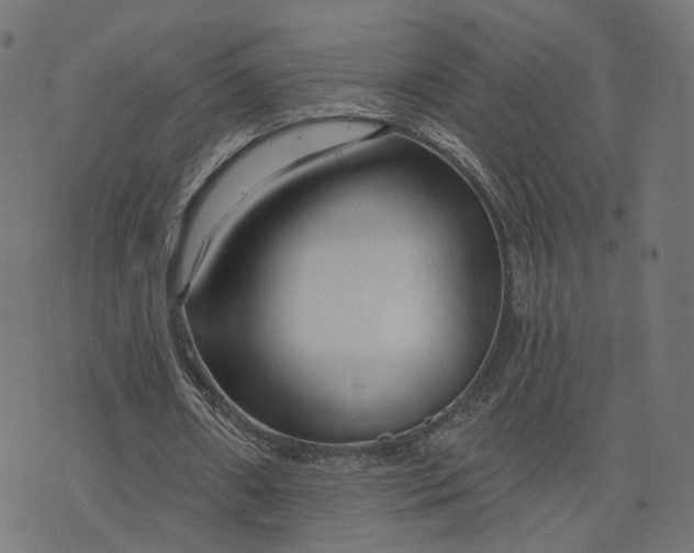 X0000073760482200608171400