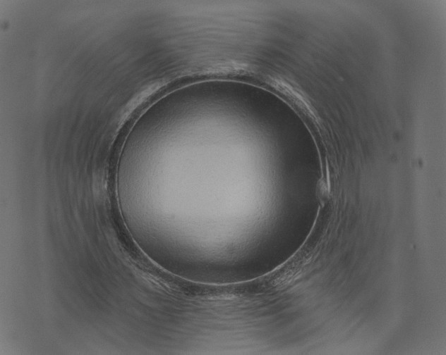 X0000073760483200608171400