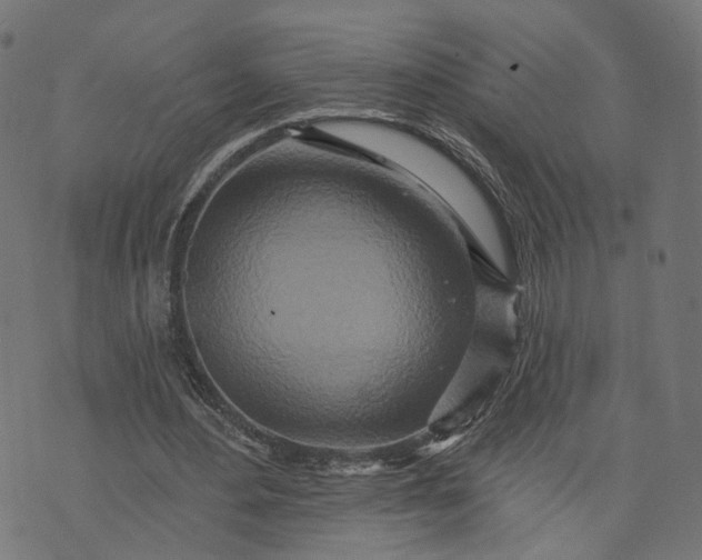 X0000073760484200608171400