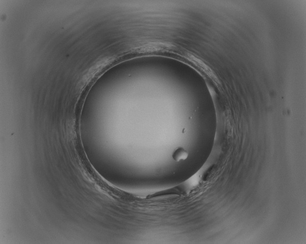 X0000073760485200608171400