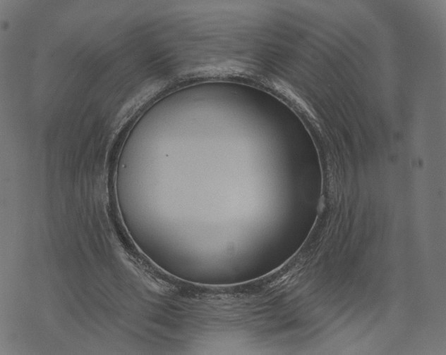 X0000073760486200608171400