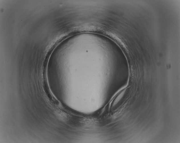 X0000073760487200608171400