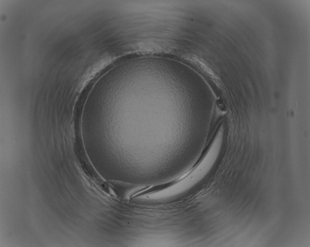 X0000073760488200608171400