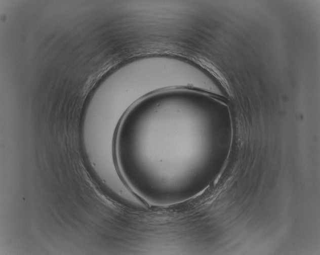 X0000073760489200608171400