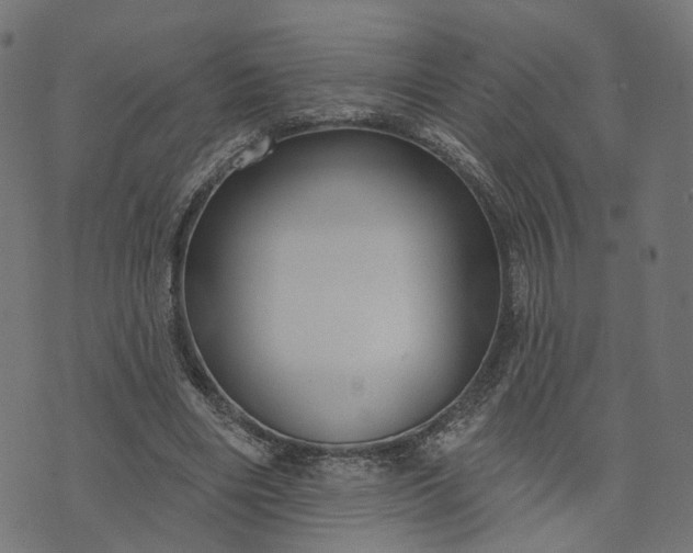 X0000073760490200608171400