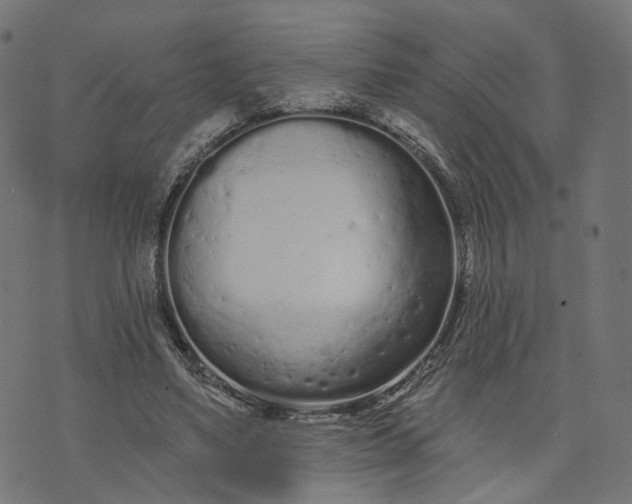 X0000073760491200608171400