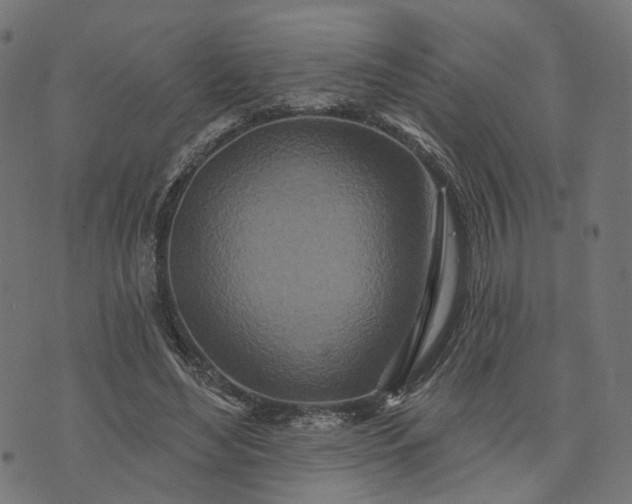 X0000073760492200608171400