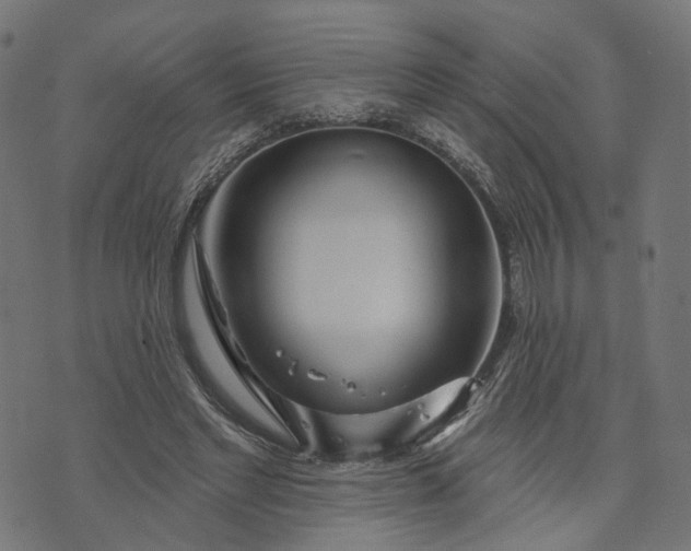 X0000073760493200608171400