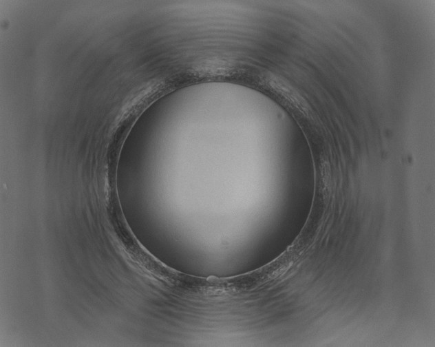 X0000073760494200608171400