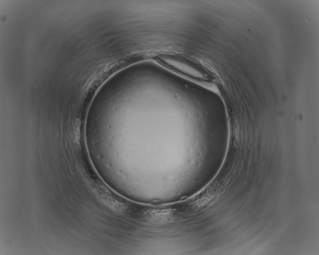 X0000073760495200608171400