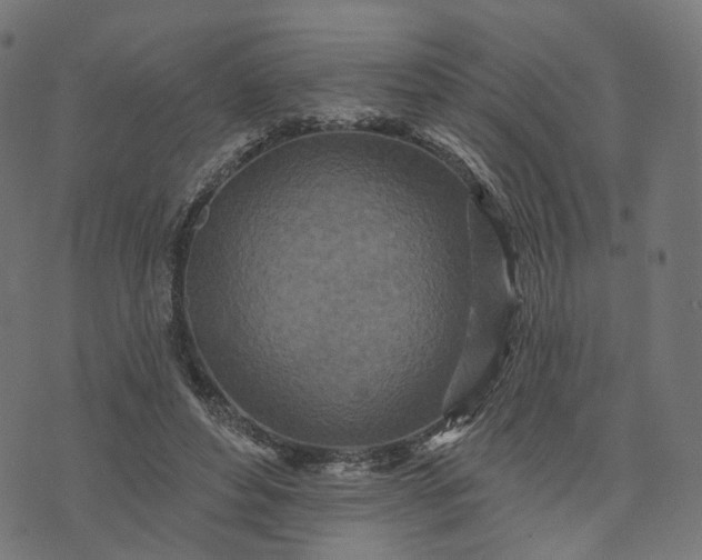 X0000073760496200608171400