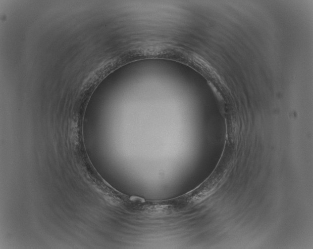 X0000073760497200608171400