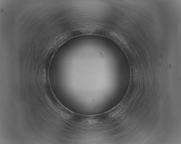 X0000073760498200608171400