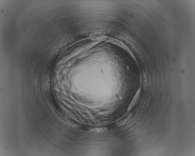 X0000073760499200608171400