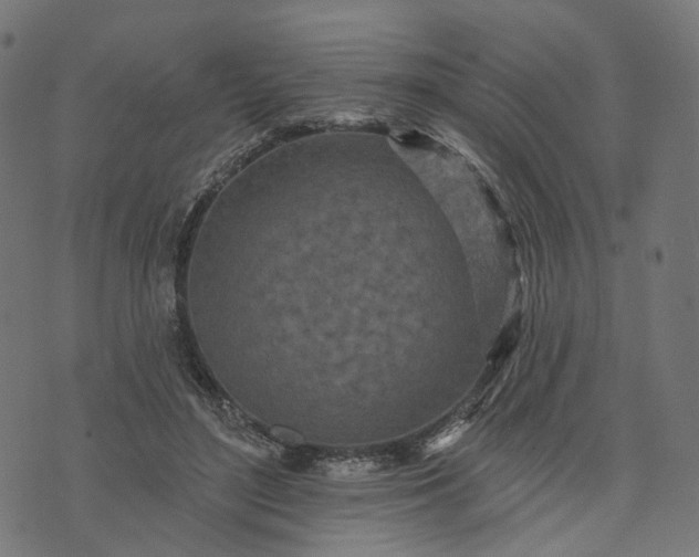 X0000073760500200608171400