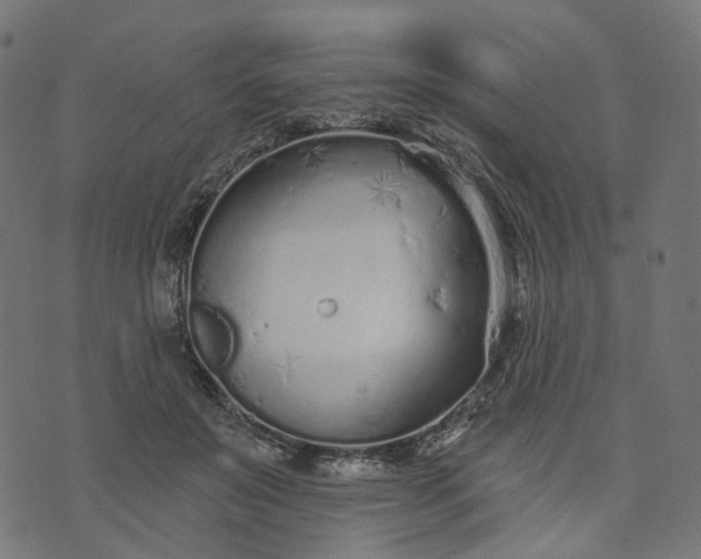 X0000073760503200608171400