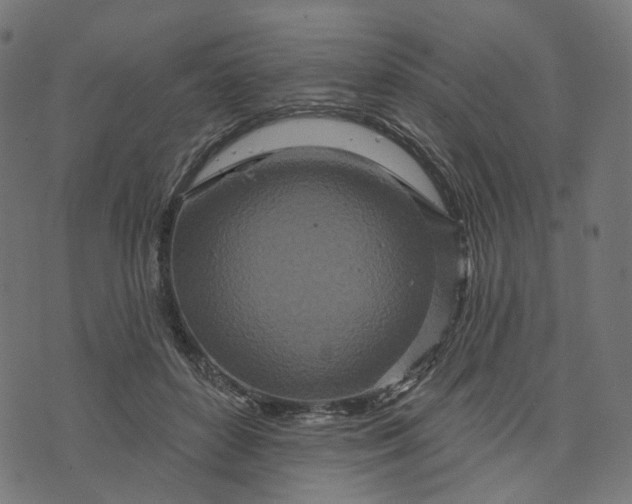 X0000073760504200608171400