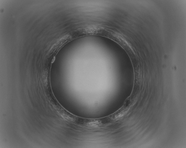 X0000073760505200608171400