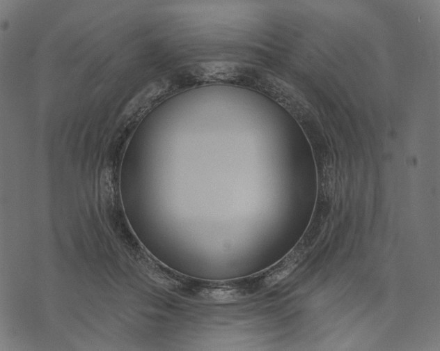 X0000073760506200608171400