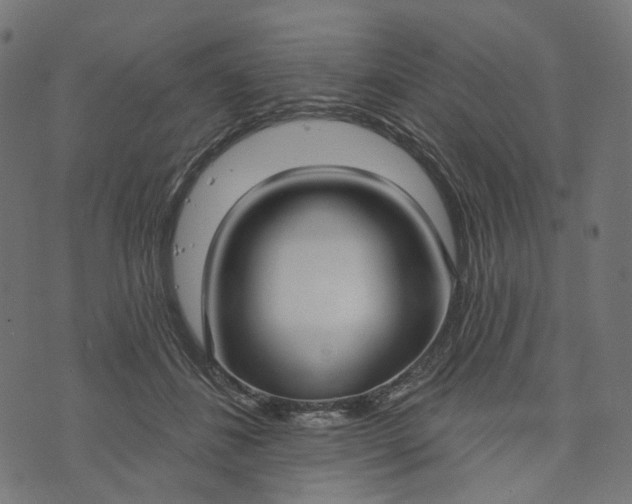 X0000073760508200608171400