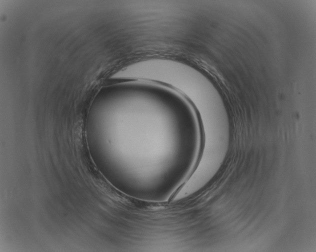 X0000073760509200608171400