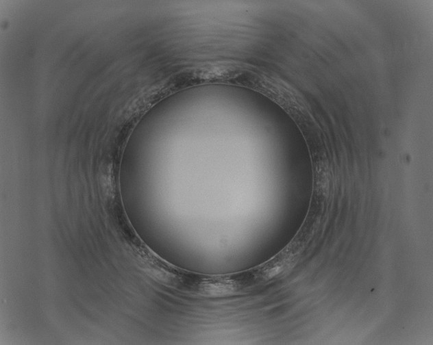 X0000073760510200608171400