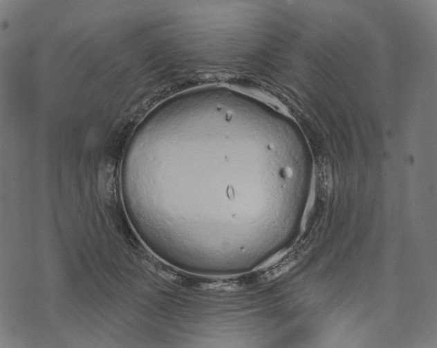 X0000073760511200608171400