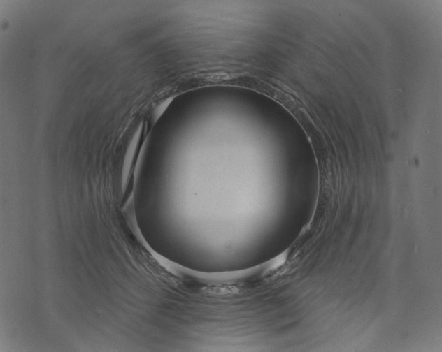 X0000073760512200608171400