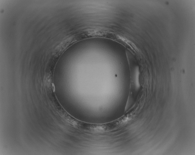 X0000073760513200608171400