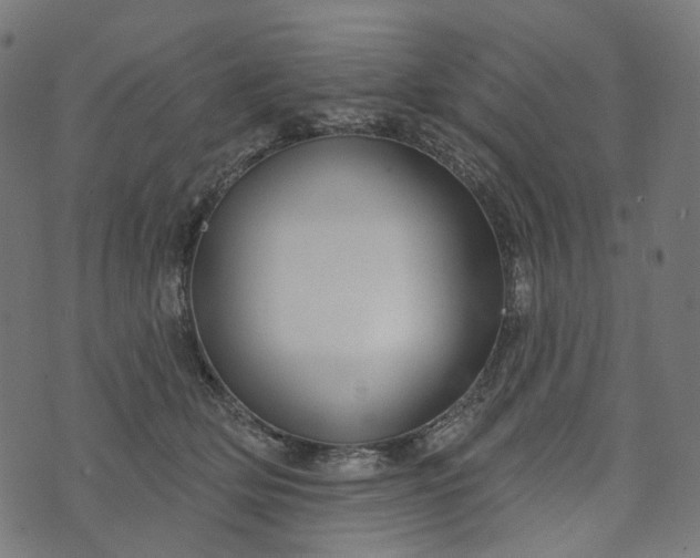 X0000073760514200608171400