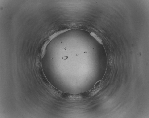 X0000073760515200608171400