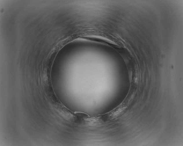 X0000073760516200608171400