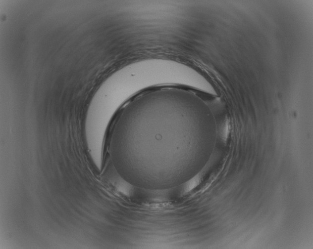 X0000073760517200608171400